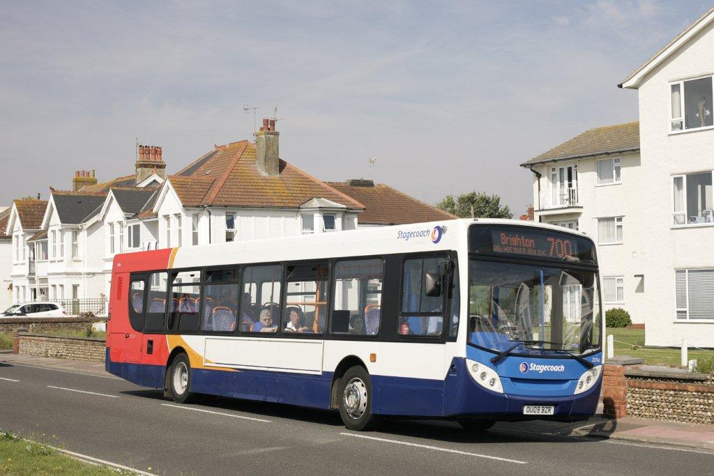 Spottings & Jottings