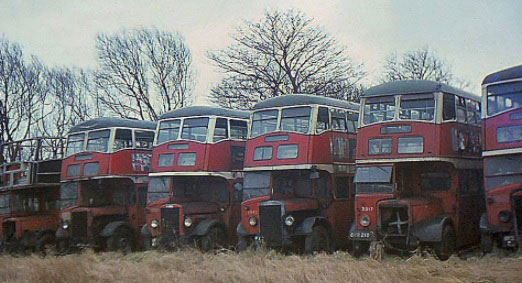 Withdrawn Bus Editorial
